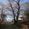 大田原城址公園の桜他　２０２２/４