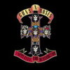 GUNS N' ROSES / APPETITE FOR DESTRUCTION