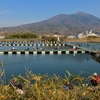 筑波湖（茨城県筑西）