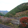 紅葉の飛騨路でキハ85系「ひだ」を撮る その2　晩秋の高山遠征③