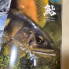 2023年　 シマノ　鮎　渓流カタログ！！　新製品