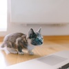 そりゃ…だよな