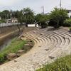 近所の砂田川散歩