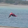 南南西爆風セッション！浜比嘉で波乗り三昧＆強風こそアンダー力　沖縄海中道路キャンピングカーライフ＆ウイングフォイルスクール