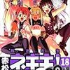 赤松健「魔法先生ネギま！ (18)」isbn:9784063638011