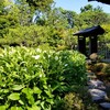 【京都】建仁寺塔頭『両足院』に行ってきました。 京都旅行 京都観光 女子旅 主婦ブログ 