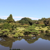 新宿御苑を歩いて～十月桜～写真散歩2021年９月下旬頃