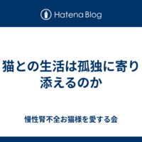 腎不全の猫のケア