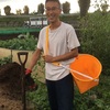 9月の台風の影響／ひかりの種お野菜BOXの畑