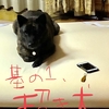 甲斐犬サンの『甲斐犬の特徴』〜其の1 招イテイルノ⁇ﾍ(-′д`-)ゝ⁇