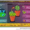 "植物は匂いで会話をして助け合う。"？　ForbesJapan