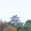 【浜松の民たちよ】浜松ローカルコーヒーフェスに出没します【浜松城公園に集え】