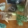 楽しみながらコツコツ休日タスク㊾