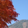 男体山と紅葉