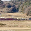 1093レ 鹿島貨物(EF65-2063) / 朝富士 🌤