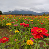 2021.10　山中湖花の都公園