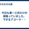 今日も第一三共だけが頑張っていました。下がるアゴーラ・・