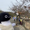 もうすぐ閉園！みさき公園に行ってきた(その1)(311)