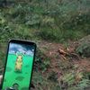 『ポケモンGO』をプレイしているのは地球人だけじゃない、凶悪な狩猟異星人がポケモンをゲットする『Pokémon GONE - Gotta kill 'em all!』。