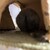 しろごまあん1237日目