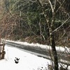 雪が降り　道路が凍った