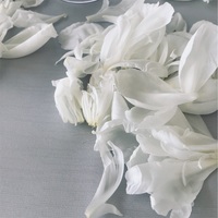 頼むから 花束を逆さにして持たないでくれ はなめも 花屋のメモ帳 頼むから 花束を逆さにして持たないでくれ はなめも 花屋のメモ帳