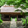 阿弥陀寺の紫陽花