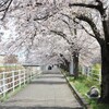 新年度に向けて…