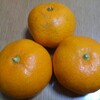 もらいもの生活