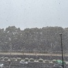 雪が降った日