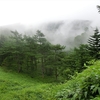 夏にぴったりの浅間山外輪山歩き