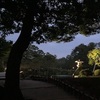 おいしいナンと、ホタルの夜