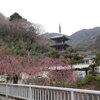 一之沢の浄発願寺