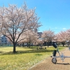 飛鳥山公園〜石神井公園〜大泉学園〜上井草ぶらり旅