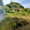 耕作放棄地状態の家庭菜園を復活させる