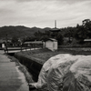 雨の法輪寺三重塔遠景