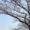 2026年3月28日(土)