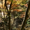 鳳来寺　２