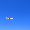 【飛行機好き必見】ポルトガル・グルベンキアン美術館は隠れた飛行機観察スポット