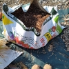 じゃがいもを植えました／果樹の手入れ