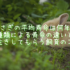 うさぎの平均寿命は何年？種類による寿命の違いと長生きしてもらうための飼育のコツ