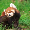 初 動物園で撮影