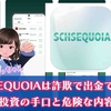 SCHSEQUOIAは詐欺で出金できない。怪しい投資の手口と危険な内容を解説