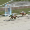 超強敵相手もこの距離なら負けられない！ 1400ｍで連勝！