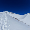 降雪翌日、雪の森を歩いて冬の宝永山（富士山・宝永第一火口）を目指す山行