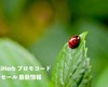 ＜iHerbをもっとお得に！＞ 紹介用プロモコード基本情報と使い方まとめ。サプリを地球上最安値で！