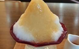 記事を見る
