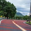 予想外の晴れ間なので、久々の奥多摩周遊道路を走ってきました