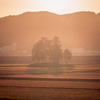 伊賀夕景１月