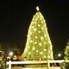 The National Christmas Tree